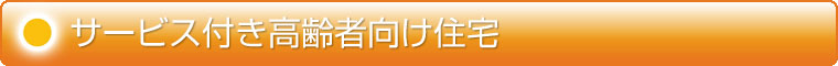 サービス付高齢者住宅